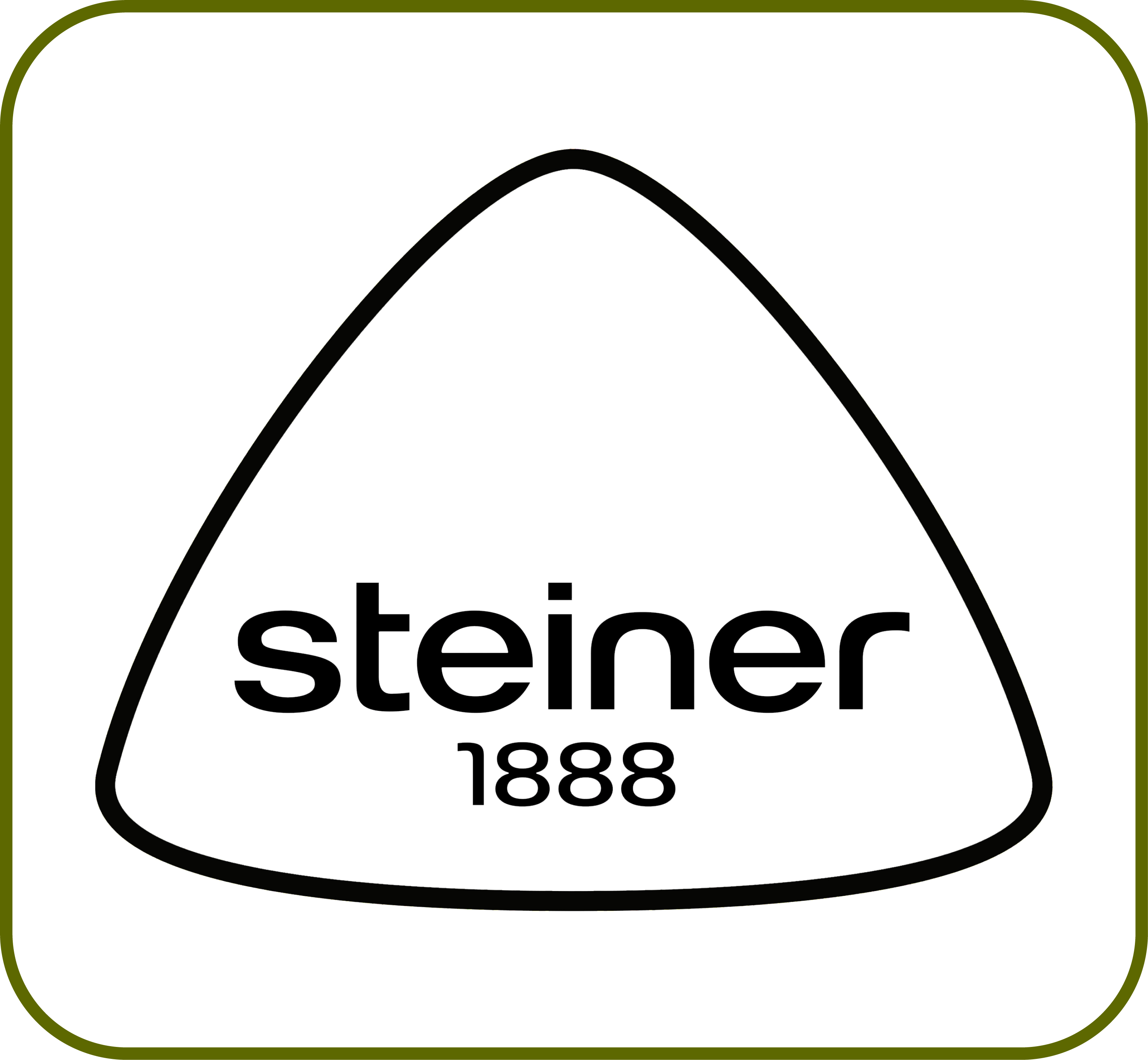Steiner 1888 Wohndecken